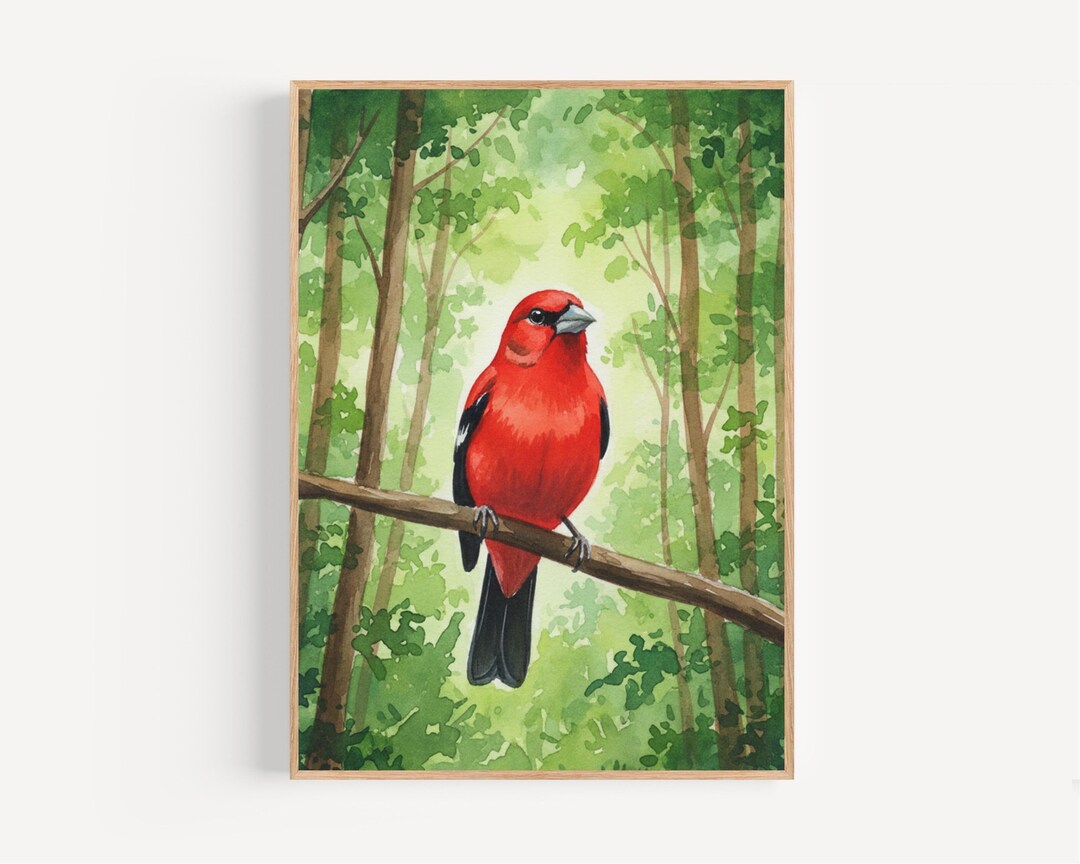 Scarlet Tanager Watercolor Print, Framed Poster or Canvas Scarlet ...