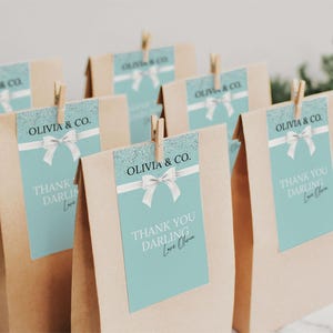 May include: Kraft paper gift bags with light blue tags featuring a white bow and the text "THANK YOU DARLING Love Olivia". The tags are attached with wooden clothespins. The bags are arranged on a white surface.