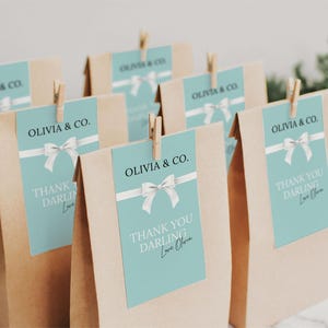 May include: Several brown paper gift bags with light blue tags. The tags are secured with wooden clothespins and feature the text "OLIVIA & CO." and "THANK YOU DARLING". A white bow design is also on the tags.