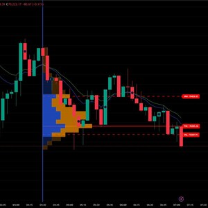 May include: A candlestick chart displaying Bitcoin price fluctuations against Tether. The chart shows red and green bars indicating price changes, with blue and orange volume profile data. Horizontal red lines mark support levels. The background is black.