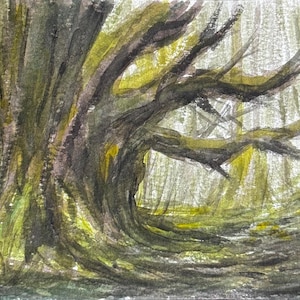 May include: Watercolor painting of a large tree with a thick, textured trunk and branches. The artwork features shades of brown, green, and yellow, depicting a forest scene with sunlight filtering through the trees.