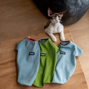 Puede incluir: Tres suéteres para mascotas en azul claro, verde lima y azul claro con rayas horizontales finas. Cada suéter presenta una etiqueta rectangular negra con el texto blanco "gingerain" en el pecho y un cuello acanalado de color sólido en rojo, gris o marrón.