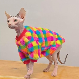 May include: A Sphynx cat wearing a colorful, checkered sweater. The sweater features a vibrant pattern of pink, yellow, blue, and green squares. The cat has pink skin and large ears, and is standing on a wooden surface.