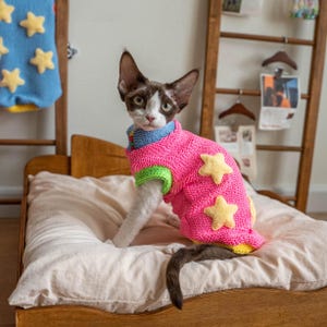 2 Colors Durable Warm Thick Sweater for Sphynx & Devon Rex Cats, Simple Winter Hoodie, Cozy Wear for Hairless Cats