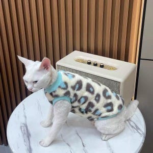 May include: A white cat wearing a blue and white leopard print sweater. The cat is sitting on a round, white table. A cream-colored speaker with gold accents is in the background.