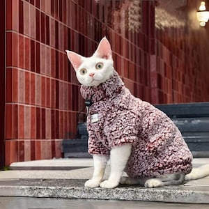 May include: A white cat wearing a burgundy and pink fuzzy sweater with a small tag. The cat is sitting on a stone surface in front of a red brick wall. The sweater has a high collar.