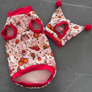 Sphynx cat suit, Sphynx cat jumper set, Hairless cat winter Clothes, Cat sweater,handmade cat clothes