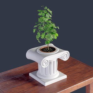 Puede incluir: Una pequeña planta verde en una maceta marrón se encuentra sobre una columna blanca de estilo clásico. La columna tiene una base cuadrada y un capitel decorativo enrollado. Las hojas de la planta son de un verde vibrante.