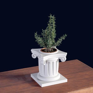 Puede incluir: Una maceta blanca de estilo clásico con una planta verde. La maceta tiene forma de columna con una base cuadrada y una parte superior decorativa. La planta tiene hojas verdes y está plantada en un recipiente marrón.