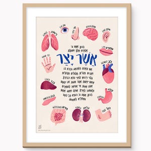 May include: A framed print featuring colorful illustrations of human body parts, including lungs, a brain, and a heart. The print has Hebrew text and is set against a cream background, with a light brown frame.