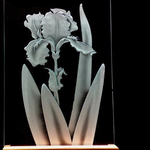 Carved Glass Iris Rectangle in Base