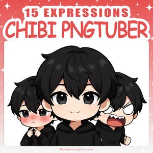 PNGTuber | Male 2D Vtuber Model with 15 Expressions for Twitch & YouTube Streaming, Veadotube Ready image 1