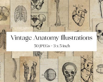 Vintage Anatomy Illustrations | Printable Skeleton, Heart, Eye & More | Junk Journal Scrapbooking Ephemera