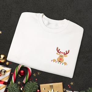 Embroidered Sweatshirt, Reindeer Sweatshirt, Christmas Jumper