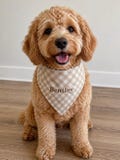 Over the Collar Custom Gingham Embroidered Dog Bandana