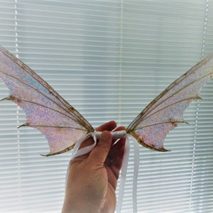 Dragon Fairy Wings-Whimsical-Children and Adult (Ready to Ship)