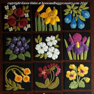 Wool store applique kits