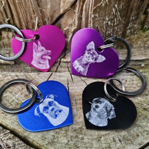 Dog tag heart with photo cat tag pet tag name tag engraved personalized made of aluminum in many great colors and designs