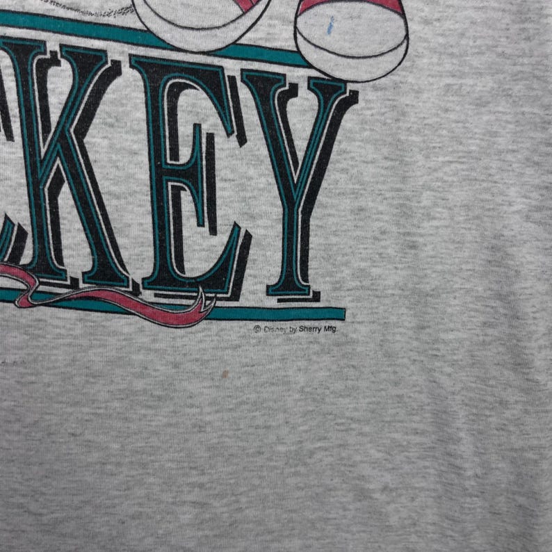 Camiseta gráfica vintage de Mickey Mouse Florida para adulto, talla grande, color gris Fruit of the Loom imagen 4