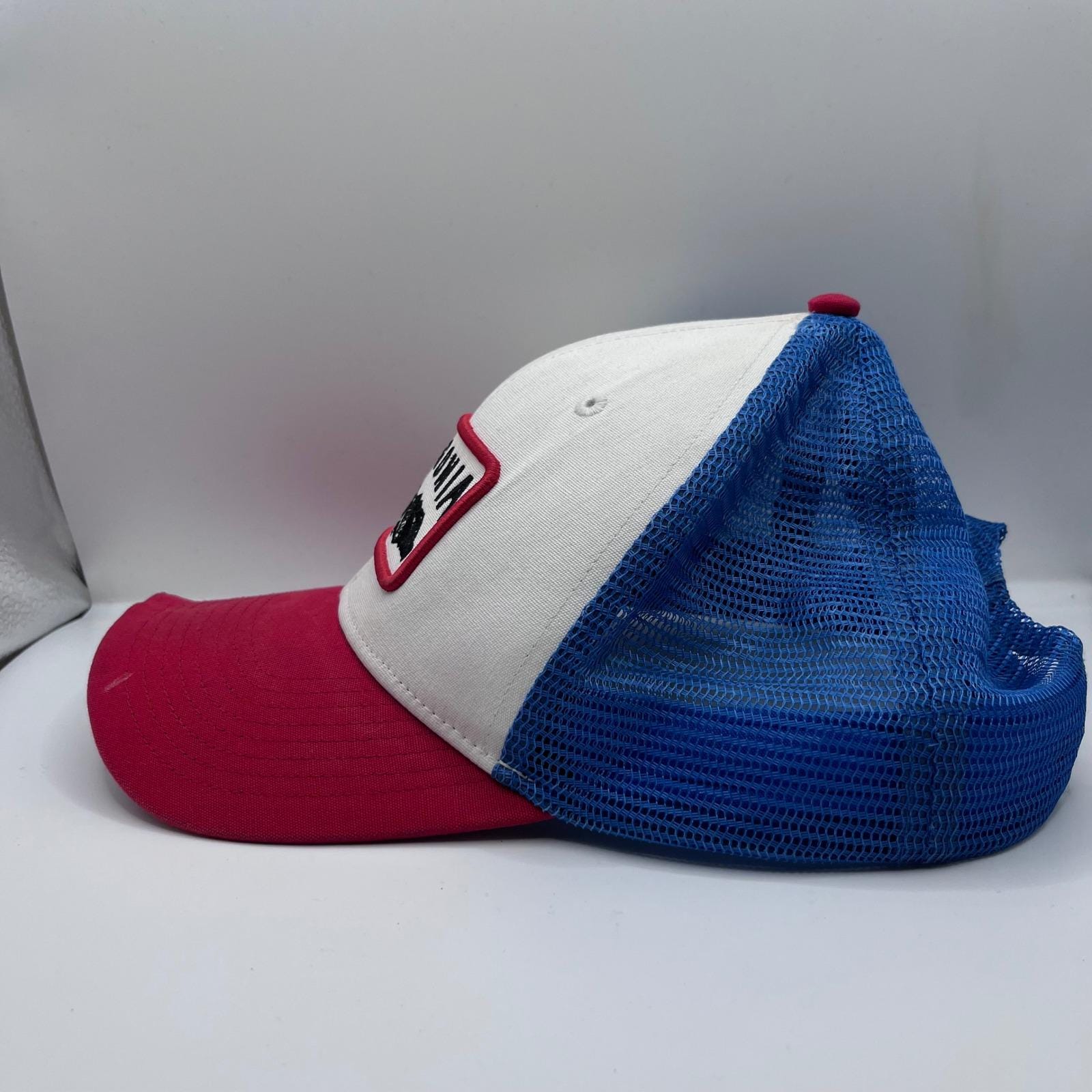 Patagonia Climb A Mountain Trucker Hat Red White Blue Patch