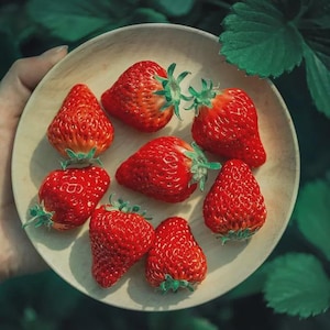 1000+ Wild Strawberry Seeds – Heirloom Non-GMO, Edible Fruit Plant for Home & Garden – Made in USA