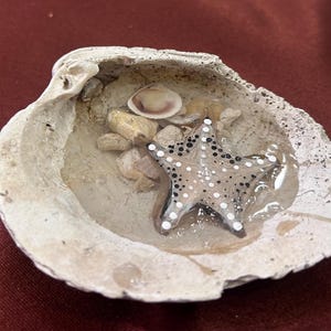 May include: A decorative seashell with a starfish, small pebbles, and a smaller shell inside. The starfish is tan with black and white spots. The seashell is off-white and has a rough texture.