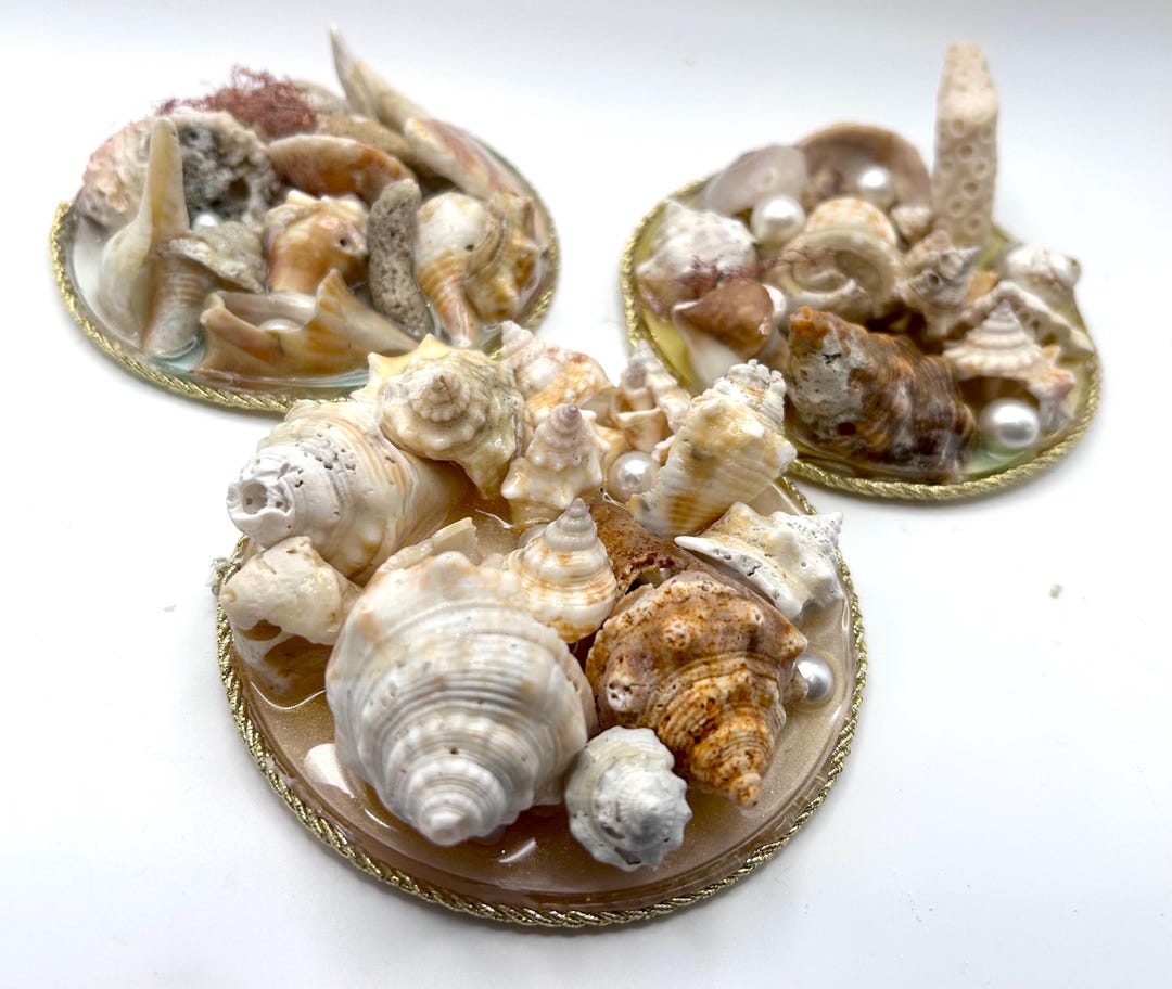 Seashell Ring Dish: Honeymoon Island Shells, Faux Pearl Decor - Etsy