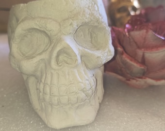 Concrete Skull Planter – Gothic Succulent Pot, Halloween Decor, Edgy Shelf Accent, Cement Skull Head Plant Holder, Alternative Gift Idea