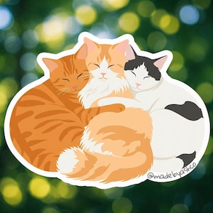 Niedliche Kuschelkatzen Aufkleber | Wasserdichter matter Vinylaufkleber | Katzenliebhaber Geschenk | Laptop Wasserflasche Aufkleber