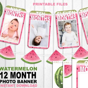 One In A Melon First Year Banner, Watermelon First Year Birthday Banner, White Text, First Birthday, Printable Files, Instant Download
