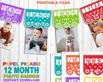 Papel Picado First Year Monthly Photo Banner, First Fiesta Decorations, First Birthday Banner, Cinco de mayo Streamers, Printable Files,