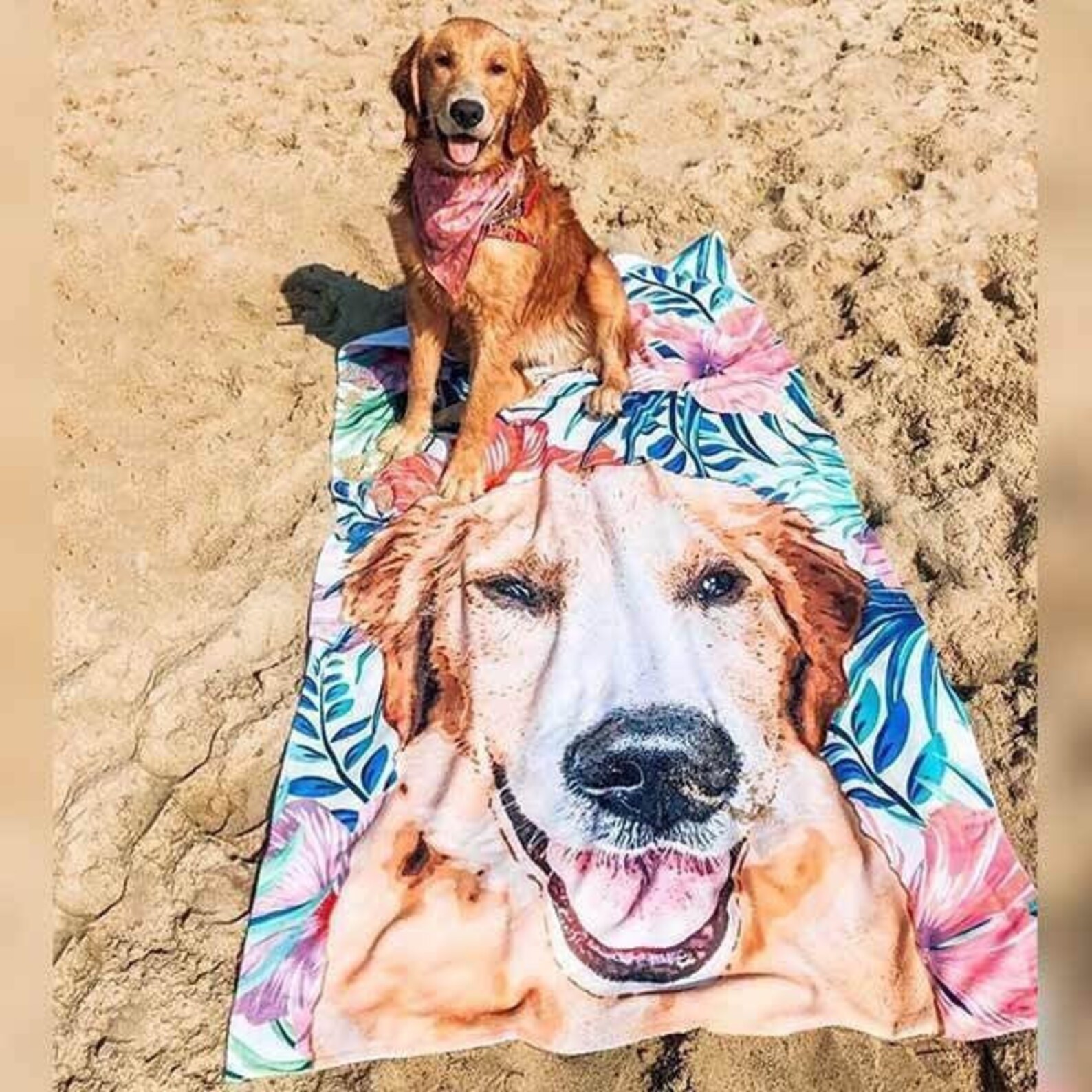 Custom Pet Portrait Beach Towel Beach Towel SIZE Etsy