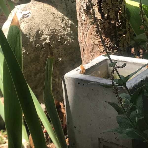 BEE BATH Garden Water Feature Recycled Glass and concrete By JJL,Succulent Planter, Also a Concrete Candle Holder