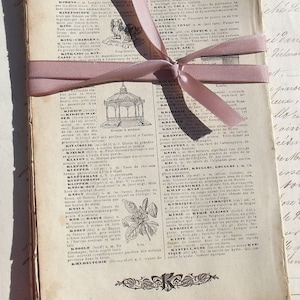 Lot de pages de livres français vintage illustrées de feuilles de dictionnaire des années 1930