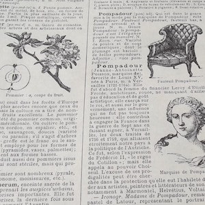 french