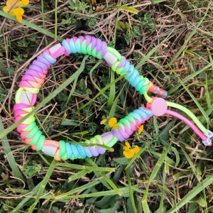 anti-tick collar for dogs