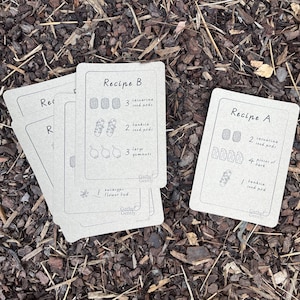 May include: A stack of recipe cards with hand-drawn illustrations of ingredients. The cards are beige with the words "Recipe A" and "Recipe B" printed at the top. The cards are lying on a bed of brown mulch.