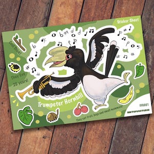 Hoja de pegatinas de cálao trompetero / Ficha de datos del animal / Dibujado a mano / Mate
