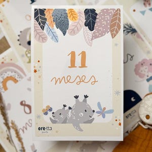 Baby Milestone Tracker · Tarjetas Mensuales Crecimiento del Bebé · Cards para registrar cada mes del bebé · Fotos Insta Maternidad