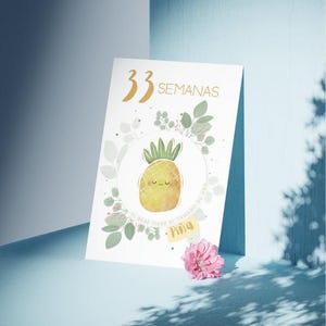 Schwangerschaft-Tracker: Tu Diario Visual del Embarazo · Tarjetas Semanales de Embarazo · Schwangerschaftskarten · Wöchentlicher Meilenstein