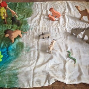 May include: A set of wooden animal figurines, including a lion, zebra, giraffe, camel, elephant, rhino, snake, and frog, arranged on a green and white fabric play mat.