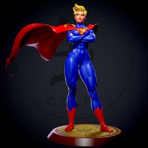 3D Model - STL Model for Resin Printer Figure 3D Printing - High Quality Diorama