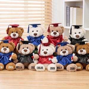 Personalized Graduation Bear: Custom Name, School, Year Keepsake Toy