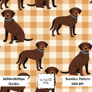 May include: A seamless pattern featuring brown Labrador dogs with blue collars arranged on a light orange and cream checkered background. The image includes text that reads SUNDAY INK, 3600x3600px, 12x12in, Seamless Pattern, and 300 DPI.