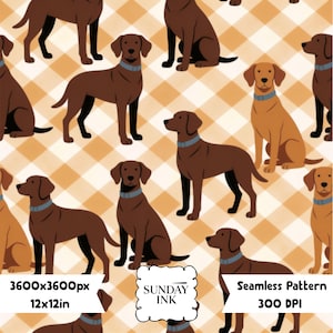 May include: A seamless pattern featuring illustrations of brown and tan Labrador dogs wearing blue collars, set against a light orange and white diagonal gingham background. Text includes 3600x3600px, 12x12in, SUNDAY INK, Seamless Pattern, and 300 DPI.
