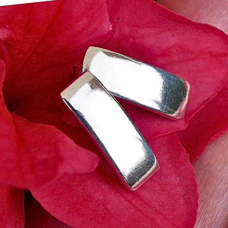 Puede incluir: Dos pendientes rectangulares plateados con bordes redondeados sobre un p&eacute;talo rojo. Los pendientes tienen una superficie pulida y reflectante. El fondo es rojo vibrante, creando un contraste con la plata. Cada pendiente mide unos 2 cm.
