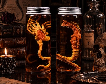 Gothic Alien Specimen Jar Set, Creepy Apothecary Decor, Dark Academia Curio Display, Halloween Cabinet Decor, Horror Shelf Art