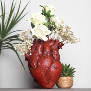 Puede incluir: Un jarrón rojo en forma de corazón anatómico lleno de rosas blancas y pequeñas flores secas. El jarrón tiene detalles anatómicos y está sobre una superficie gris. A la derecha, una pequeña suculenta en una maceta tejida, con una planta verde al fondo.