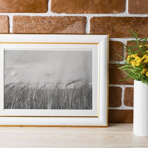Black and White Wheat Field Wall Art | Minimalist Botanical Landscape Poster | Modern Photo Decor for Any Room | Various Sizes Gift Idea