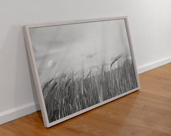 Impresión artística de pared de campo de trigo en blanco y negro, paisaje botánico minimalista, decoración fotográfica moderna